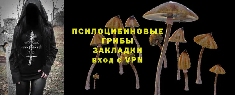 Галлюциногенные грибы Cubensis  Рославль 